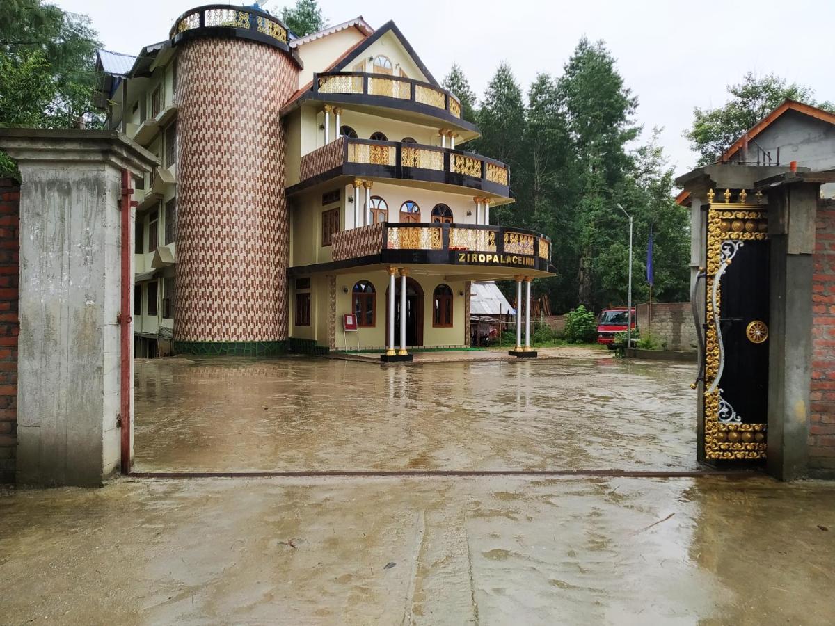 Ziro Palace Inn - A Boutique Hotel Hāpoli Dış mekan fotoğraf